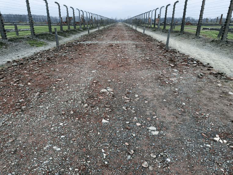 Juergen Teller – Auschwitz Birkenau