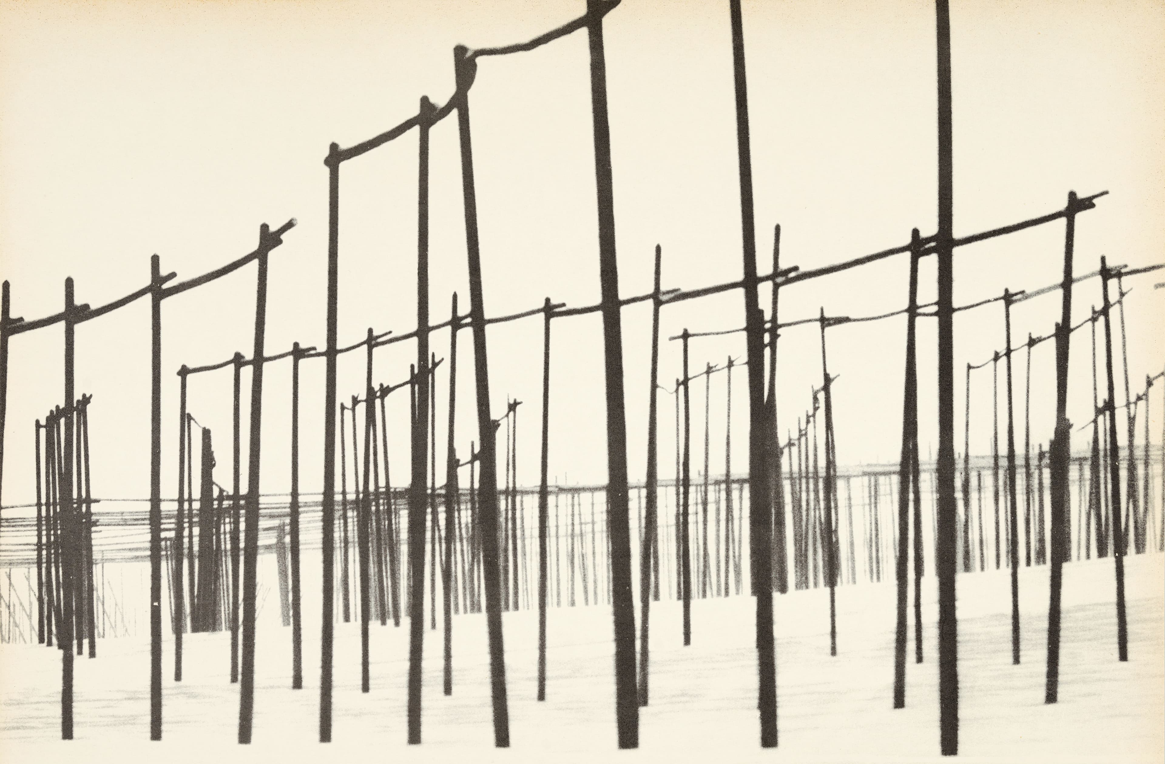 der weisse hopfengarten